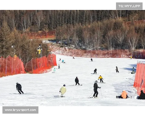 国际滑雪医疗救援标准落地中国 崇礼首建专业培训基地助力冬奥安全保障 国际滑雪医疗救援标准落地中国 崇礼首建专业培训基地助力冬奥安全保障